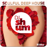 DJ Shum - Soulful Deep House # 4