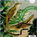 The great spring mashup