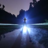 Disco Shakedown