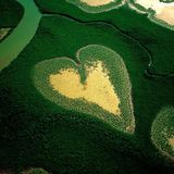 Heart of the Tropics Mix