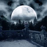 Lady Full Moon - Paradisiacal Dream Sessions 2015 (019)