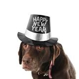 SPACE DOGS RADiO #miXtape 027 - NEW YEAR RESOLUTiONS