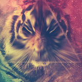 TECHNO MIX DJ TIGER 2014