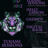 Tojami Sessions @ Kosmonautentanz - Sa 17.3.2012 - District, Dresden