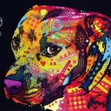 FRANK MORAIS THECHOUSE SET 2016