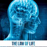 AUDIOMIND - Law of Life