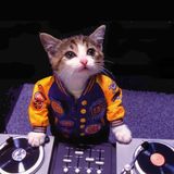 Ozan Maral "Dj'in Dilemması"