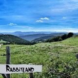 Welcome to the Rabbitland! (Cumbia-Hip-hop-Dancehall-Baile Funk-Drum&Bass Mix)