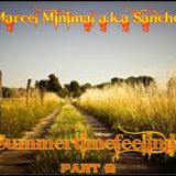 MARCEL MINIMAL - SUMMERFEELINGS part 2 - 2015.mp3