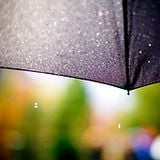 LeMings - Bye Bye Summer, Hello Autumn