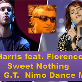 Calvin Harris feat. Florence Welch - Sweet Nothing (D & G.T. Nimo Dance Mix)