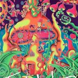 T3MPLBLDR: Peaceful Growth & Development