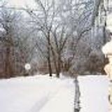 deep mid winter mix p1