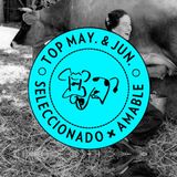 TOP MAYO-JUNIO 2013 by Amable