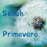 Sebuh - Primavara 2016