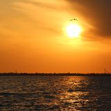 Chilled Summer Vibes( vol .11 )