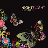 Dmitry Tichy - Night Flight 2012 (Promo CD)