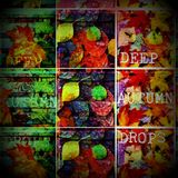 Deep Autumn Drops