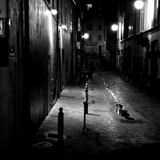 Les grand silencieux