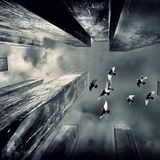 cordeiro - (JustMusicFM) Badgirls Radio Show live mix by Cordeiro 08. 11. 22