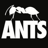 Hot Since 82 @ Ants - Ushuaia Ibiza Beach Hotel (07.06.2014)