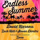 David Harness Live At Endless Summer - WCS Events 7.27.2013