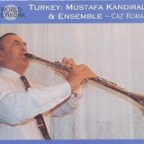 Mendel'in Bezeye Laboratuvarı 19