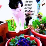 the cat dance swing - Madame Summit