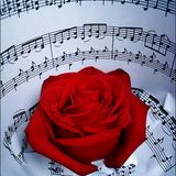 Love Serenade