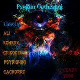 Dj Ali@Psyfam Gathering