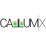 Callum X - Big Room Toons (Summer '14)