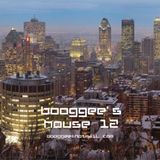 Booggee's House 12