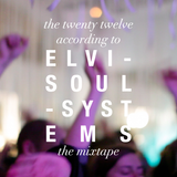 THE 2012 ACCORDING TO ELVI SOULSYSTEMS