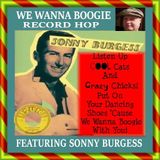 WE WANNA BOOGIE RECORD HOP