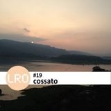 Life Force Radio Observatory #19 with Cossato