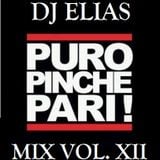 DJ Elias - Puro Pinche Pari Vol. XII.