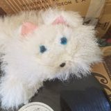 La Noche de los Discos Vivientes: "Ocultismo Felino, Ritos Incas y Música para Bailar Sentado"