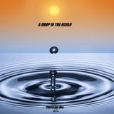 A DROP IN THE OCEAN
