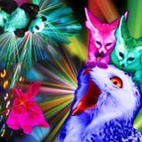 Mixtape #1 - Wild Animals Know how to Party