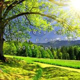 MiraculuM - Simple Pleasures 2014 April