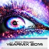 The Dizzy DJ - about a dizzy year - YEARMIX 2014