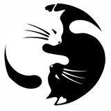 MiSS NiCat - White Dark ''BassDeep''
