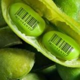 Cultura Libre - La Cámara Civil rechazó el patentamiento de semillas de Monsanto (15-04-16)