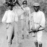 HISTORY OF ROOTS