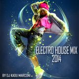 Electro House Mix