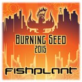 Fishplant @ Burning Seed 2015 #1 - AfterTheNoon