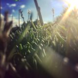 Tanz ins Glück Preview 3