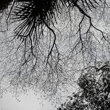 Noisy ambient set 1