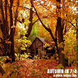 Autumn in 7/4 Vol.2