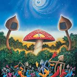 DiscoKantareller - Toker in the mix